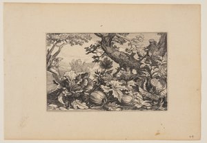 Tree and Melons, from Landscapes by Claes Jansz. Visscher