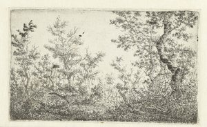 Clearing in the Forest by Claes van Beresteyn