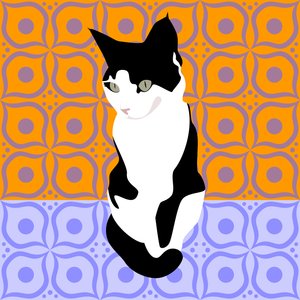 Cat on Moroccan Tiles
