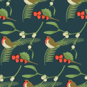 Christmas Robin by Claire Huntley