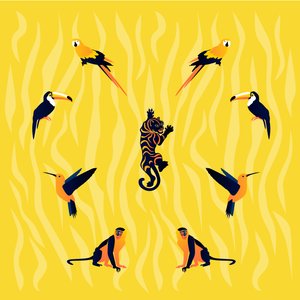 Animals - Yellow and Black by Claire Huntley
