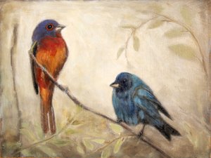 Two Colorful Buntings by Claire Lerner