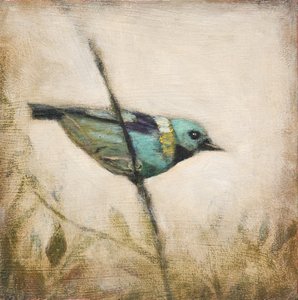 Vibrant Teal Bird by Claire Lerner