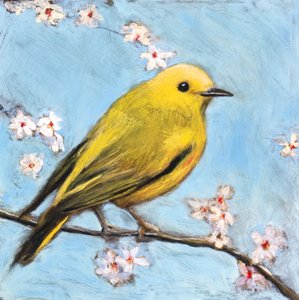 Yellow Bird Spring Blossoms