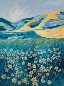 Golden Hills Daisy Field