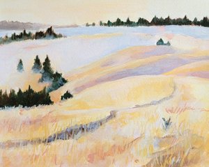 Peaceful Golden Fields