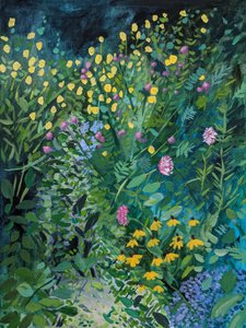 Vibrant Summer Garden