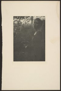 Edge of the Woods -- Evening