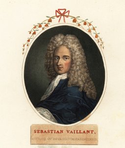Portrait of Sebastian Vaillant, French Botanist by Claude Aubriet