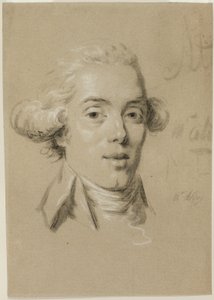 Portrait of a Young Man