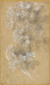 Sketch of Foliage and Branches by Claude Lorrain