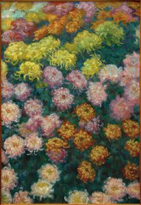 Chrysanthemum Bed, 1897