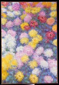 Chrysanthemums