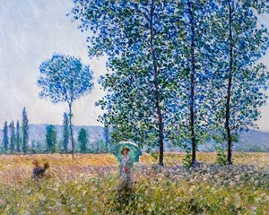 Fields in springtime