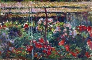 Garden of Peonies