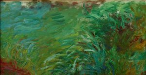 Aquatic Herbs