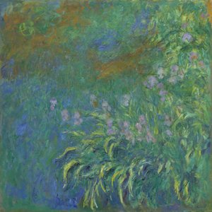Irises, 1914-17