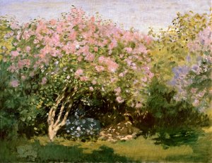 Lilac in the Sun, 1872-1873