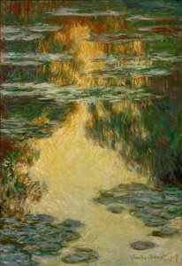 Water Lilies