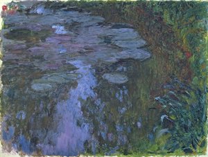 Water Lilies