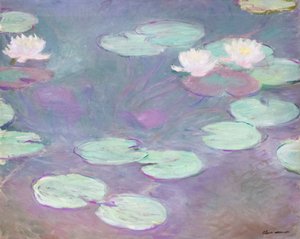 Pink Water Lilies