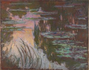 Water Lilies in Evening Light