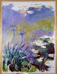 The Agapanthus by Claude Monet