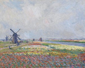 Tulip Fields near The Hague by Claude Monet