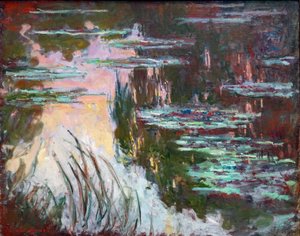 Water-Lilies, Setting Sun