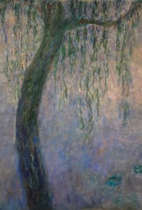 Water Lilies