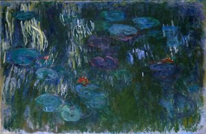 Water Lilies