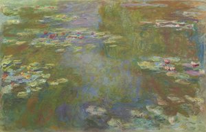 Water Lily Pond