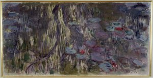 Waterlilies