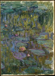 Waterlilies