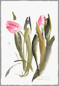 Tulips, 2003