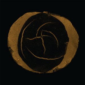 Earthy Swirl Abstract