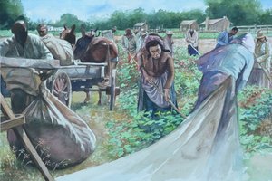 Backbreaking, 2010 by Colin Bootman