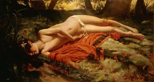 Narcissus