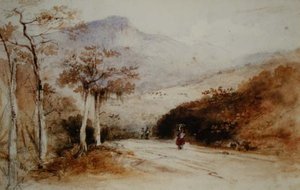 The Country Road
