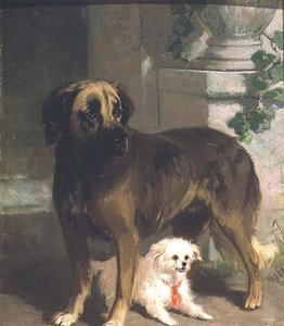 A Mastiff and a Bichon by Conradyn Cunaeus