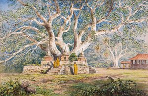 Sacred Bo Tree at the Burial place of the Kandian Queens by Constance Frederica Gordon Cumming