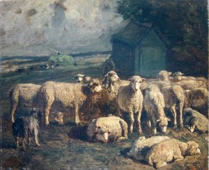 Flock of Sheep