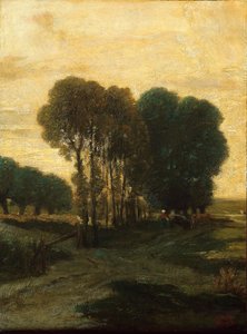 A Clump of Trees