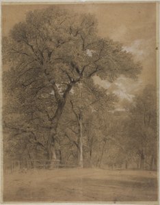 Edge of a Forest by Constant Troyon