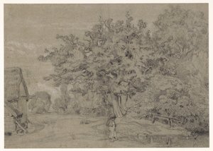 Old Tree by a Farmhouse