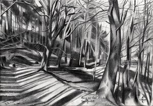 Forest Path Shadows by Corné Akkers