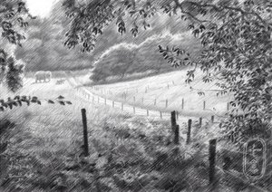 Peaceful Countryside Path by Corné Akkers