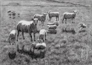 Peaceful Sheep Pasture Drawing by Corné Akkers