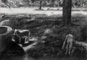 Shaded Pasture Sheep Sketch by Corné Akkers