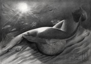 Shark and Siren by Corné Akkers